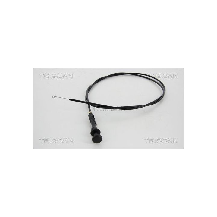 Droselio velenas, karbiuratorius TRISCAN 8140 25506