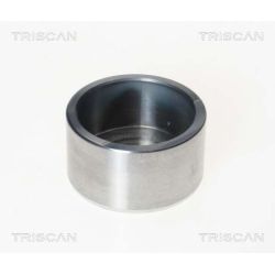 Stūmoklis, stabdžių apkaba TRISCAN 8170 232003