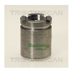 Stūmoklis, stabdžių apkaba TRISCAN 8170 233006