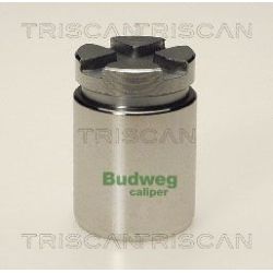 Stūmoklis, stabdžių apkaba TRISCAN 8170 233012