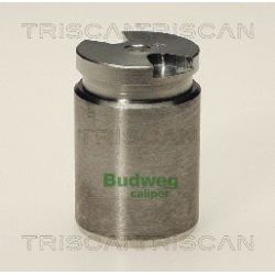 Stūmoklis, stabdžių apkaba TRISCAN 8170 233013