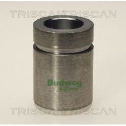 Stūmoklis, stabdžių apkaba TRISCAN 8170 233206