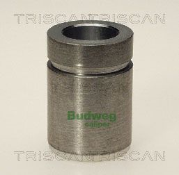 Stūmoklis, stabdžių apkaba TRISCAN 8170 233206