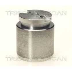 Stūmoklis, stabdžių apkaba TRISCAN 8170 233514