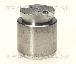 Stūmoklis, stabdžių apkaba TRISCAN 8170 233514