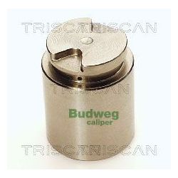 Stūmoklis, stabdžių apkaba TRISCAN 8170 233516