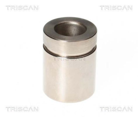 Stūmoklis, stabdžių apkaba TRISCAN 8170 233519