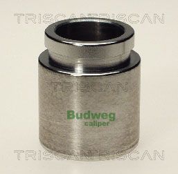 Stūmoklis, stabdžių apkaba TRISCAN 8170 233819