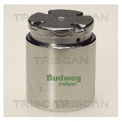 Stūmoklis, stabdžių apkaba TRISCAN 8170 233821