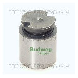 Stūmoklis, stabdžių apkaba TRISCAN 8170 233841