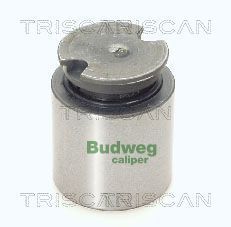 Stūmoklis, stabdžių apkaba TRISCAN 8170 233841