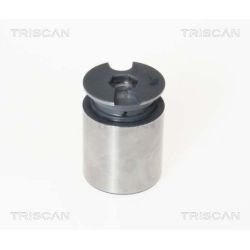 Stūmoklis, stabdžių apkaba TRISCAN 8170 233863