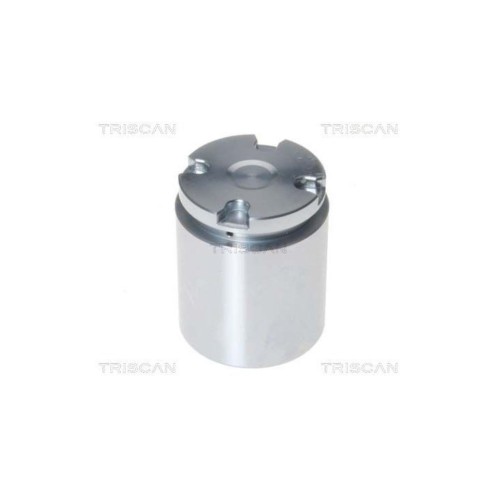 Stūmoklis, stabdžių apkaba TRISCAN 8170 233882