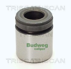 Stūmoklis, stabdžių apkaba TRISCAN 8170 234034