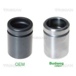 Stūmoklis, stabdžių apkaba TRISCAN 8170 234038