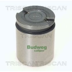 Stūmoklis, stabdžių apkaba TRISCAN 8170 234101