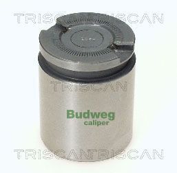 Stūmoklis, stabdžių apkaba TRISCAN 8170 234101