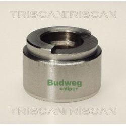 Stūmoklis, stabdžių apkaba TRISCAN 8170 234201