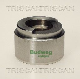 Stūmoklis, stabdžių apkaba TRISCAN 8170 234201