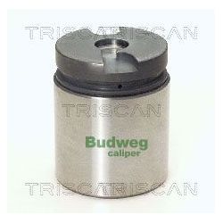 Stūmoklis, stabdžių apkaba TRISCAN 8170 234220