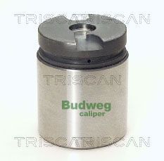 Stūmoklis, stabdžių apkaba TRISCAN 8170 234220