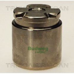 Stūmoklis, stabdžių apkaba TRISCAN 8170 234308