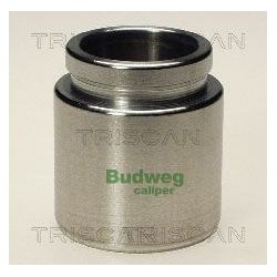 Stūmoklis, stabdžių apkaba TRISCAN 8170 234327