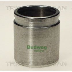 Stūmoklis, stabdžių apkaba TRISCAN 8170 234329