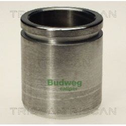 Stūmoklis, stabdžių apkaba TRISCAN 8170 234331