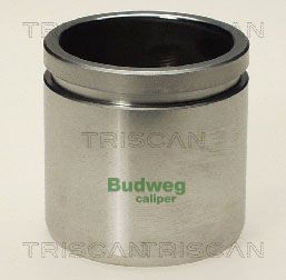 Stūmoklis, stabdžių apkaba TRISCAN 8170 234509