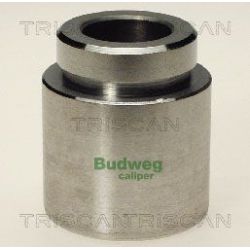 Stūmoklis, stabdžių apkaba TRISCAN 8170 234519