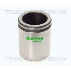 Stūmoklis, stabdžių apkaba TRISCAN 8170 234605