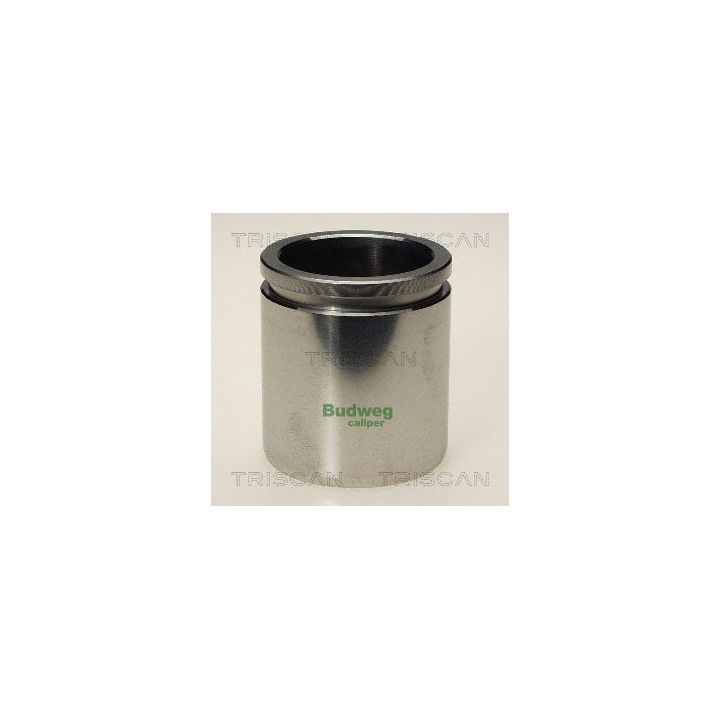 Stūmoklis, stabdžių apkaba TRISCAN 8170 234810