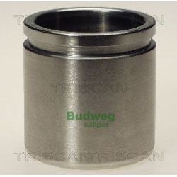 Stūmoklis, stabdžių apkaba TRISCAN 8170 234842