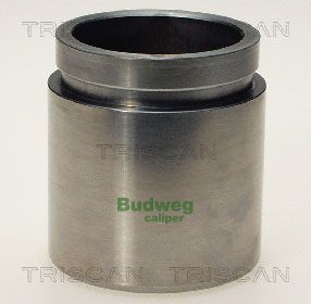 Stūmoklis, stabdžių apkaba TRISCAN 8170 234851