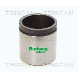 Stūmoklis, stabdžių apkaba TRISCAN 8170 234855