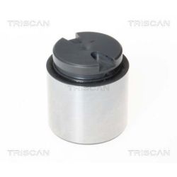 Stūmoklis, stabdžių apkaba TRISCAN 8170 234867