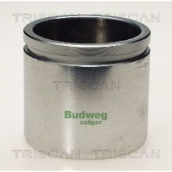 Stūmoklis, stabdžių apkaba TRISCAN 8170 235417