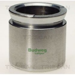 Stūmoklis, stabdžių apkaba TRISCAN 8170 235422