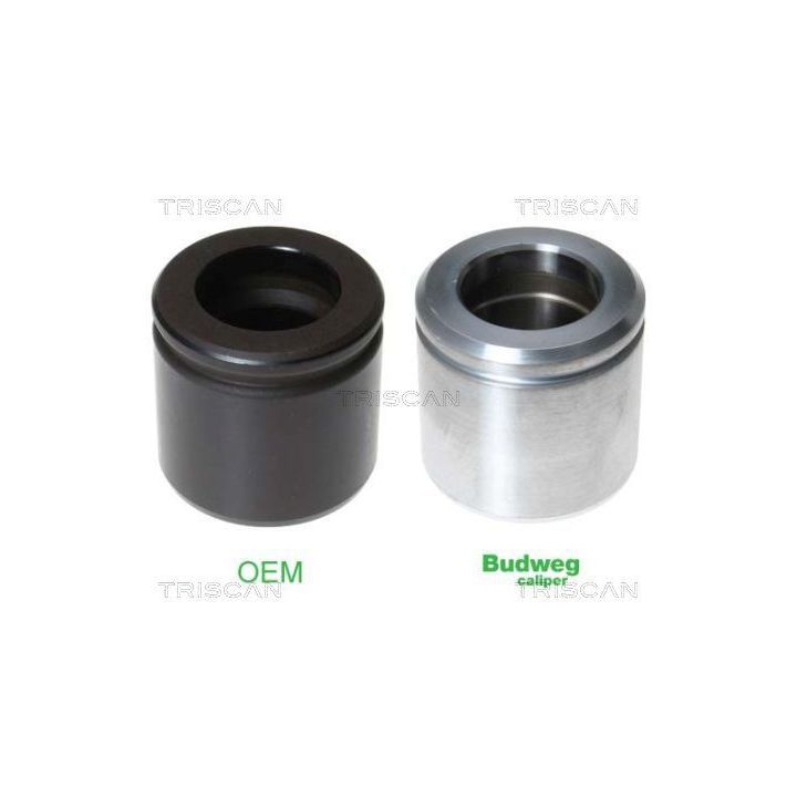 Stūmoklis, stabdžių apkaba TRISCAN 8170 235475