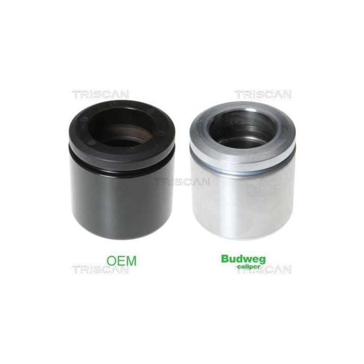 Stūmoklis, stabdžių apkaba TRISCAN 8170 235732