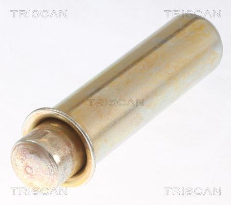 Vibracijos slopintuvas, paskirstymo diržas TRISCAN 8646 10302