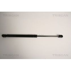 Dujinė spyruoklė, galinis langas TRISCAN 8710 15242