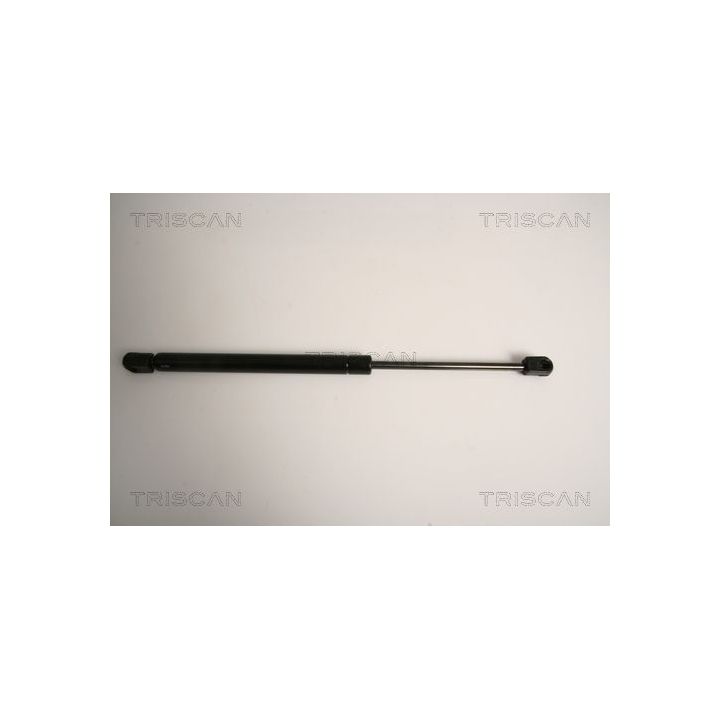 Dujinė spyruoklė, galinis langas TRISCAN 8710 15242