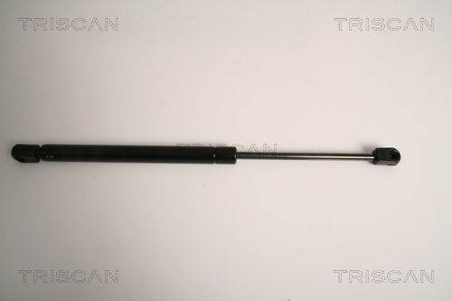 Dujinė spyruoklė, galinis langas TRISCAN 8710 15242