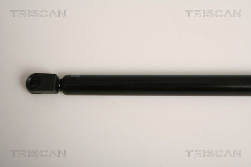 Dujinė spyruoklė, galinis langas TRISCAN 8710 15242