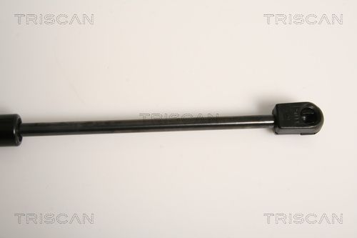 Dujinė spyruoklė, galinis langas TRISCAN 8710 15242
