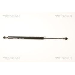 Dujinė spyruoklė, galinis langas TRISCAN 8710 17215