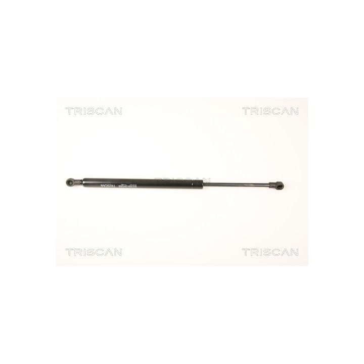 Dujinė spyruoklė, galinis langas TRISCAN 8710 17215