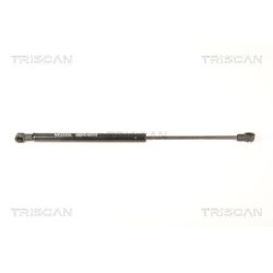 Dujinė spyruoklė, galinis langas TRISCAN 8710 18229